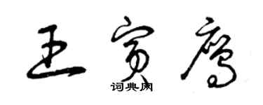 曾慶福王賓鷹草書個性簽名怎么寫