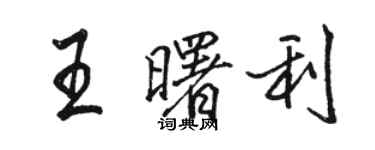 駱恆光王曙利行書個性簽名怎么寫