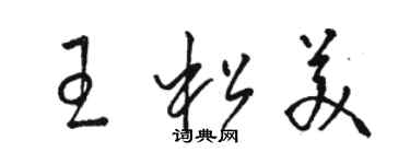 駱恆光王松美草書個性簽名怎么寫