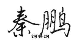 駱恆光秦鵬行書個性簽名怎么寫