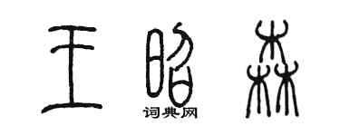 陳墨王昭森篆書個性簽名怎么寫