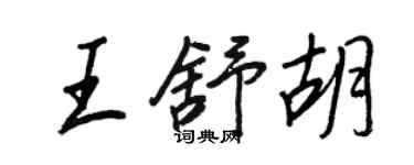 王正良王舒胡行書個性簽名怎么寫