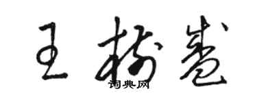 駱恆光王樹盛草書個性簽名怎么寫