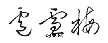 駱恆光盧雪梅草書個性簽名怎么寫