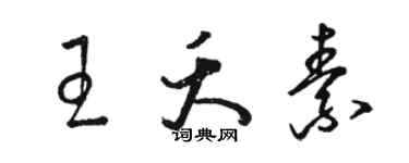 駱恆光王夭素草書個性簽名怎么寫