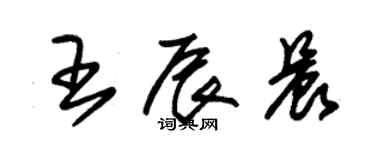 朱錫榮王辰晨草書個性簽名怎么寫