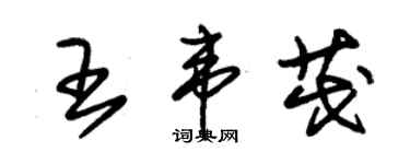 朱錫榮王韋茂草書個性簽名怎么寫