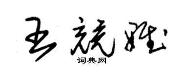 朱錫榮王競雅草書個性簽名怎么寫