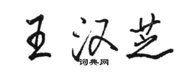 駱恆光王漢芝行書個性簽名怎么寫