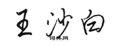 駱恆光王沙白行書個性簽名怎么寫