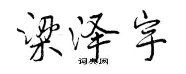 曾慶福梁澤宇行書個性簽名怎么寫