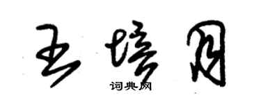 朱錫榮王培月草書個性簽名怎么寫