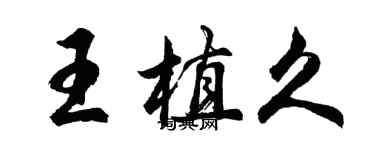 胡問遂王植久行書個性簽名怎么寫