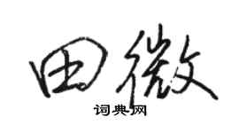 駱恆光田微行書個性簽名怎么寫