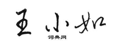 駱恆光王小如行書個性簽名怎么寫