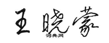 駱恆光王曉蒙行書個性簽名怎么寫