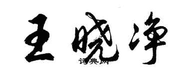 胡問遂王曉淨行書個性簽名怎么寫