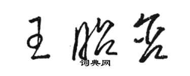 駱恆光王昭含草書個性簽名怎么寫