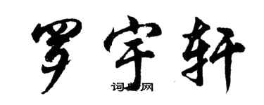 胡問遂羅宇軒行書個性簽名怎么寫