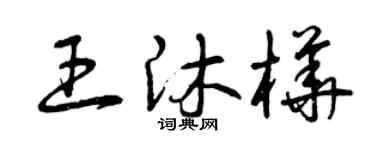 曾慶福王沐樺草書個性簽名怎么寫