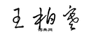 駱恆光王柏寒草書個性簽名怎么寫