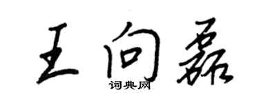 王正良王向磊行書個性簽名怎么寫