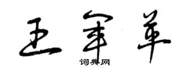 曾慶福王軍革草書個性簽名怎么寫