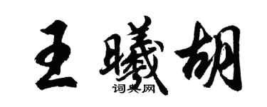 胡問遂王曦胡行書個性簽名怎么寫