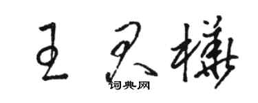 駱恆光王君樺草書個性簽名怎么寫