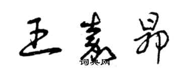 曾慶福王嘉昂草書個性簽名怎么寫