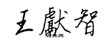 王正良王獻智行書個性簽名怎么寫