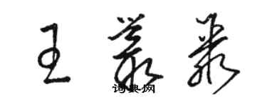 駱恆光王叢聚草書個性簽名怎么寫