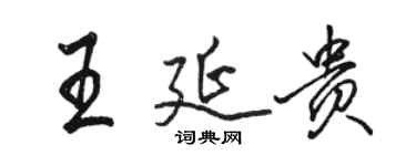 駱恆光王延貴行書個性簽名怎么寫