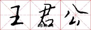 王君公怎么寫好看