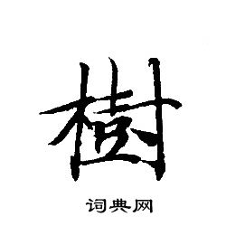 轉輪聖王經寫的樹