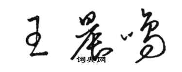 駱恆光王晨鳴草書個性簽名怎么寫
