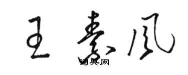 駱恆光王素風草書個性簽名怎么寫