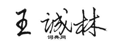 駱恆光王誠林行書個性簽名怎么寫