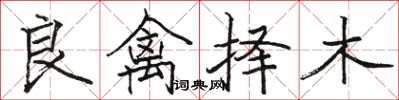 駱恆光良禽擇木楷書怎么寫