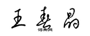 梁錦英王春晶草書個性簽名怎么寫