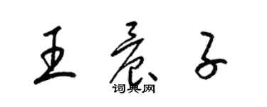 梁錦英王晨子草書個性簽名怎么寫