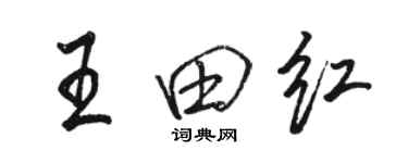 駱恆光王田紅行書個性簽名怎么寫