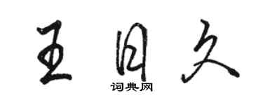 駱恆光王日久行書個性簽名怎么寫