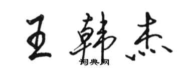 駱恆光王韓傑行書個性簽名怎么寫