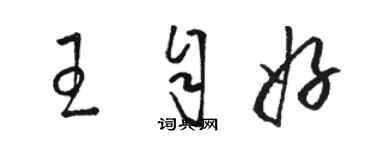 駱恆光王自好草書個性簽名怎么寫