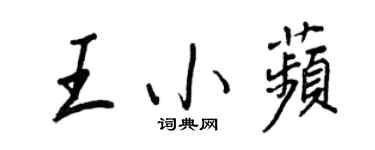 王正良王小苹行書個性簽名怎么寫