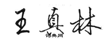 駱恆光王真林行書個性簽名怎么寫