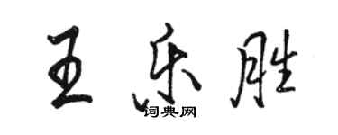 駱恆光王樂勝行書個性簽名怎么寫