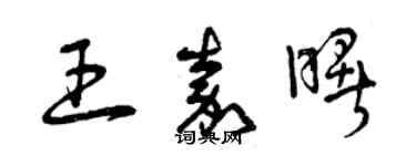 曾慶福王嘉曙草書個性簽名怎么寫