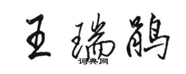 駱恆光王瑞鵑行書個性簽名怎么寫